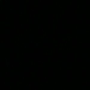 Meet your Posher, Leeroy